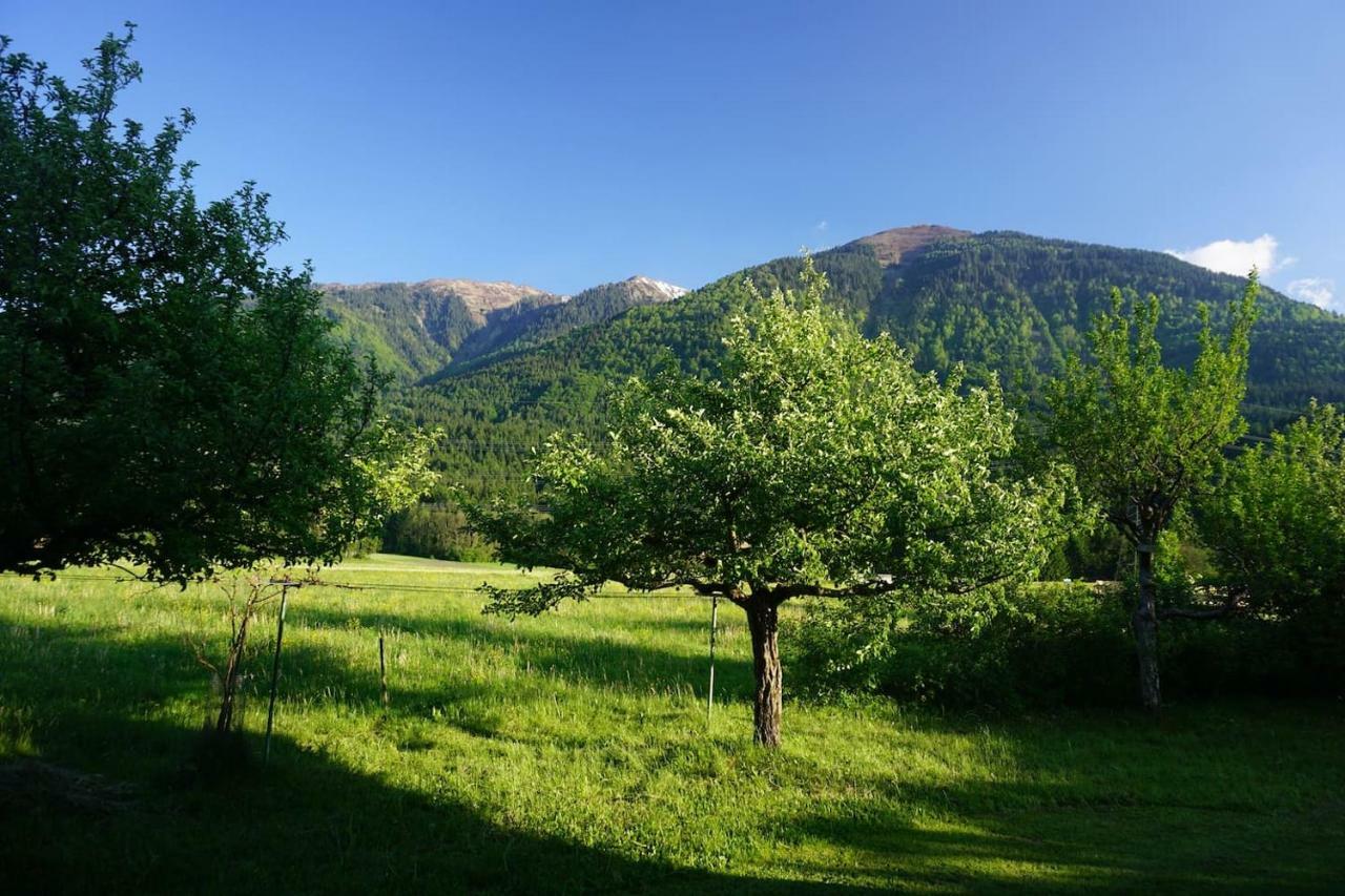 Guesthouse Schoba Typ B Oberdobernitzen Εξωτερικό φωτογραφία